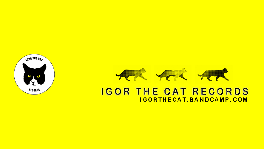 Igor the cat records